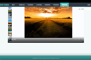 (springboot+mysql) 在线学习网站（单程序）
