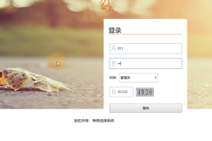 jspm导师选择系统